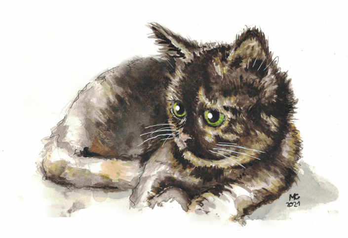 Zeichnung einer jungen Katze