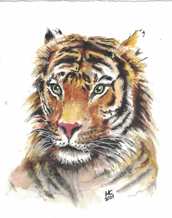 Zeichnung eines Tigers