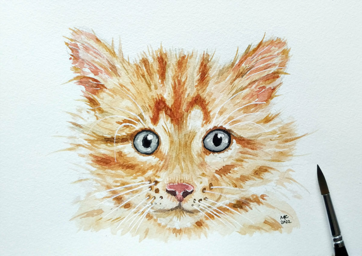kleines Kätzchen als Portraitzeichnung